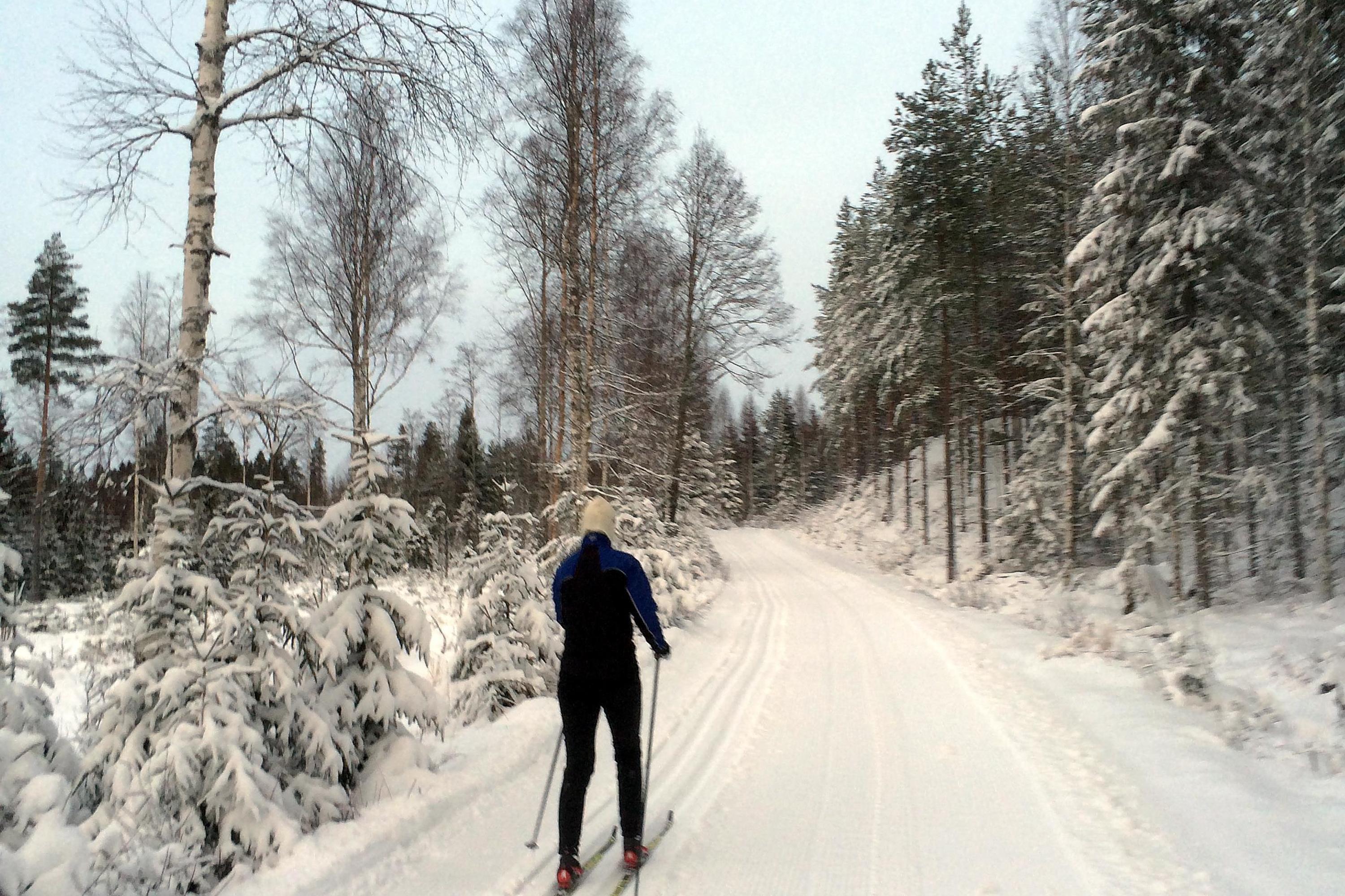 Langrennsløyper i Grue Visit Øst Norge